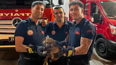 Mersin’de bir otomobilin motor bölümüne sıkışan yavru köpek, itfaiye ekiplerinin