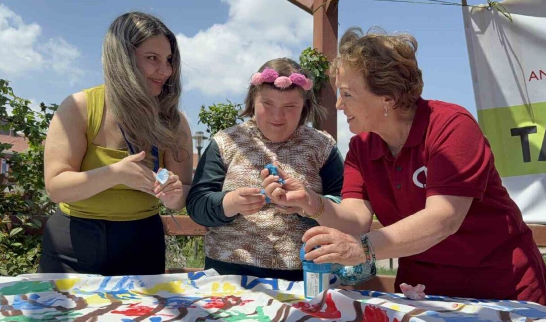 Eskişehir’de özel öğrenciler, Anadolu Üniversitesi 60+ Tazelenme Üniversitesi ve Anadolu