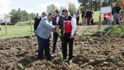 Kütahya’nın Pazarlar ilçesinde hayata geçirilen “Tescilli Pazarlar Kirazı Uygulama Alanı