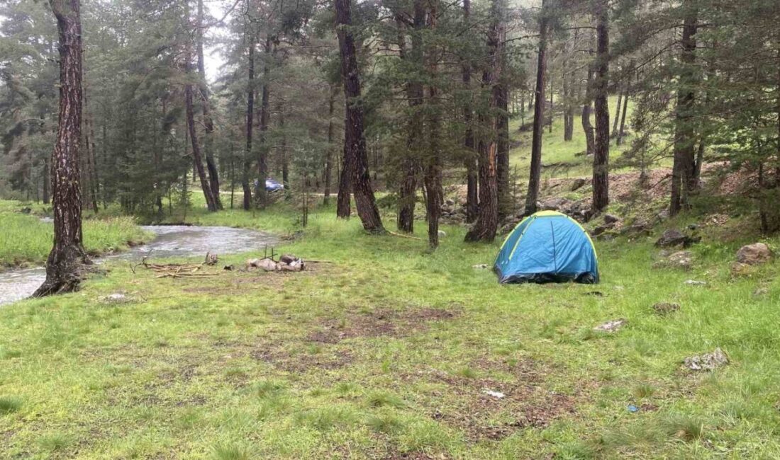 Bolu’nun Aladağlar bölgesinde piknik yapan akraba grubunun bulunduğu alana yıldırım