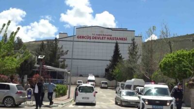 Batman’ın Gercüş ilçesinde piknikte akrep sokan kadın hastanelik oldu. Edinilen