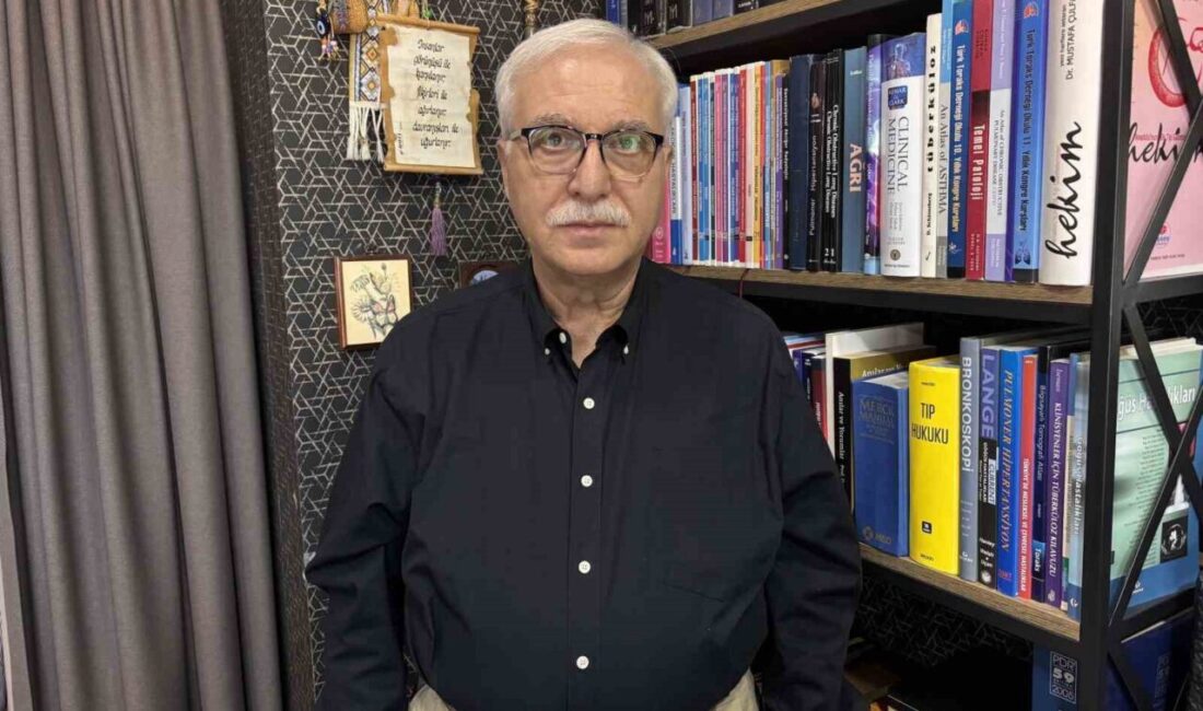 Kruvaziyer gemisinde ortaya çıkan hanta virüsü vakaları dünya genelinde endişeye