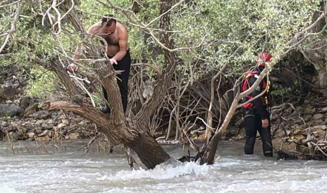 Tunceli’de Pülümür Çayı’nda yüzmeye çalıştığı sırada akıntıya kapılan ve bir