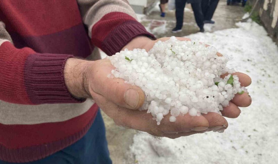 Erzincan’ın Refahiye ilçesinde etkili olan sağanak ve dolu yağışı yaşamı