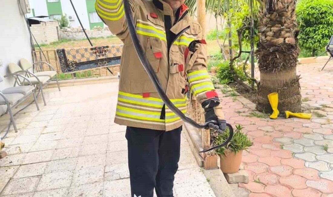 Hatay’da eve giren yılan itfaiye ekipleri tarafından özel aparatla yakalandı.