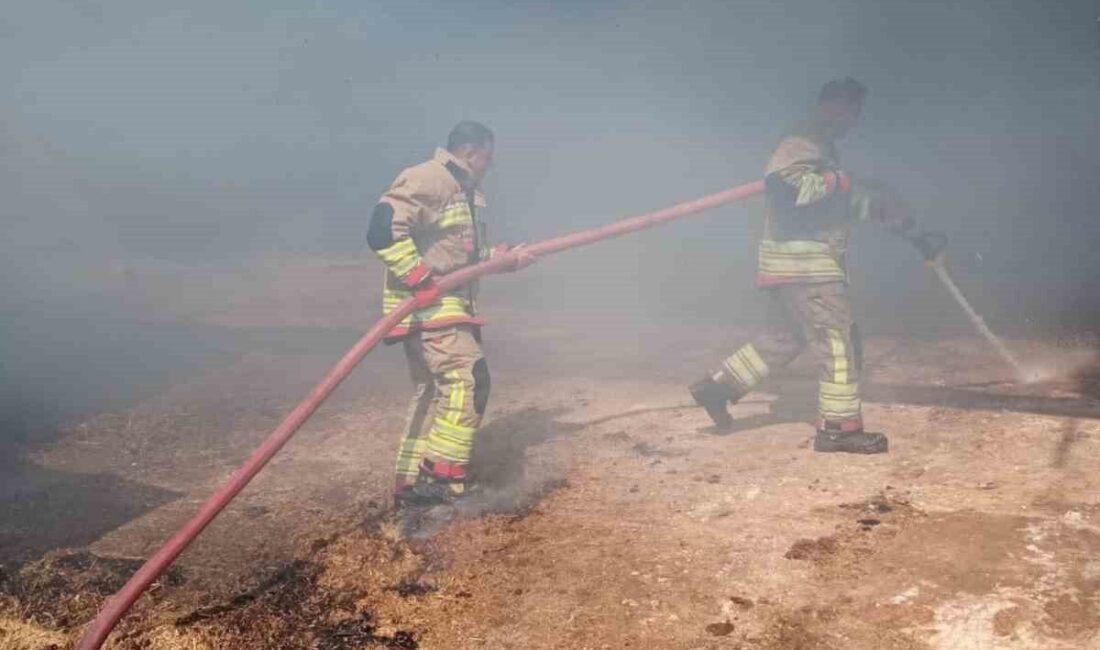 Hatay’ın Reyhanlı ilçesinde çıkan samanlık yangını ahıra sıçramadan kısa sürede