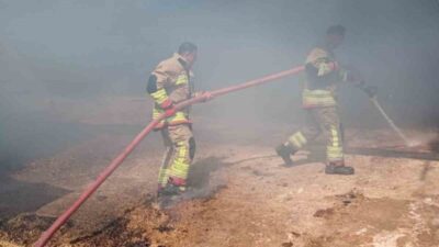 Hatay’ın Reyhanlı ilçesinde çıkan samanlık yangını ahıra sıçramadan kısa sürede