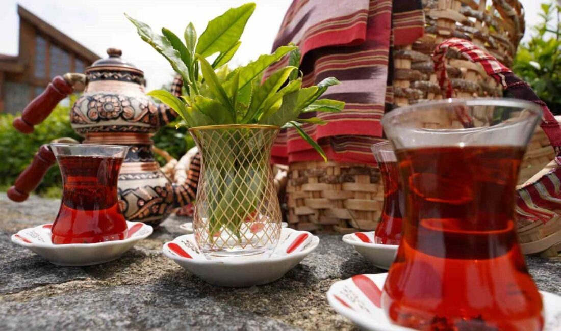 Tüm dünyada 21 Mayıs’ta kutlanan Uluslararası Dünya Çay Günü Rize’de