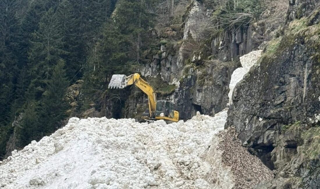 Yoğun kış şartlarını geride bırakan Rize’de yüksek kesimlerde etkili olan