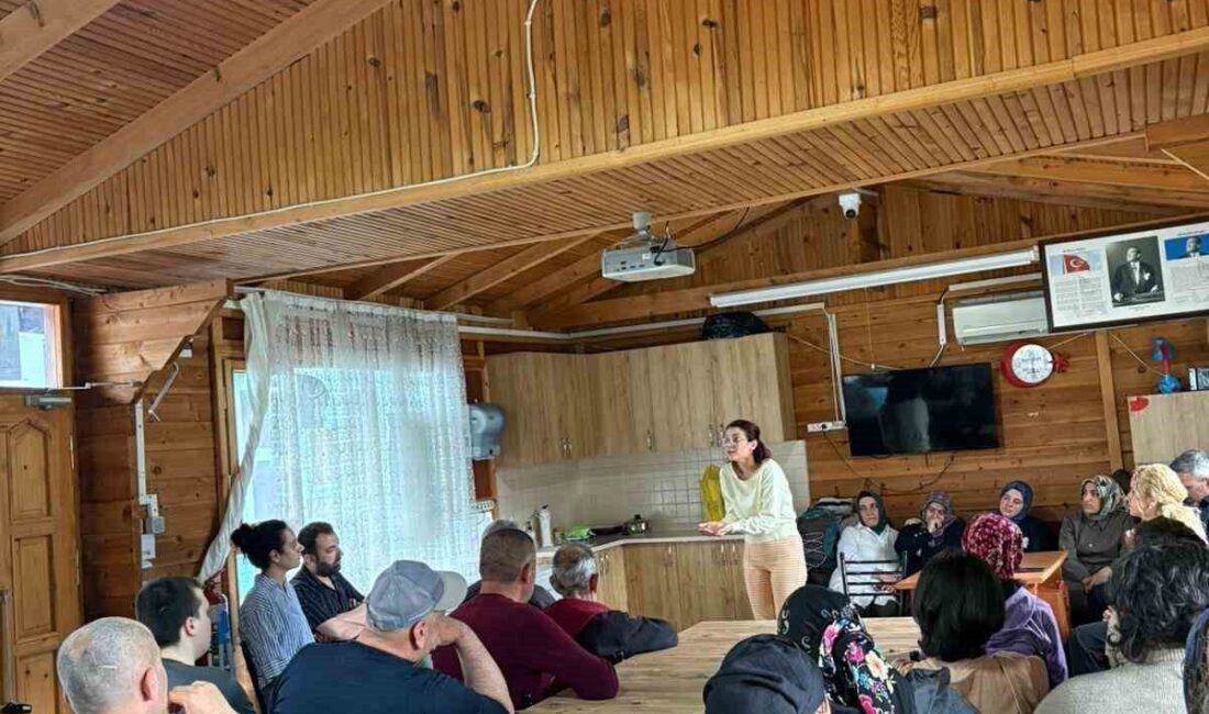 Trabzon Ataköy Ruh ve Sinir Hastalıkları Hastanesi, alışılagelmiş tedavi yöntemlerinin