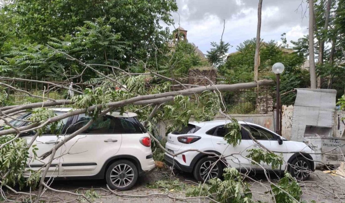 Aydın’ın Efeler ilçesinde rüzgarda devrilen araç park halindeki üç araçta