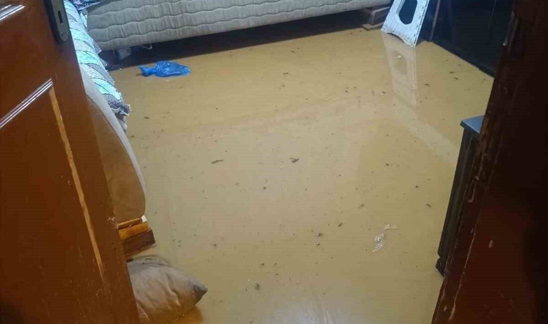 Bursa’nın İnegöl ilçesinde akşam saatlerinde etkili olan sağanak yağış, kırsal