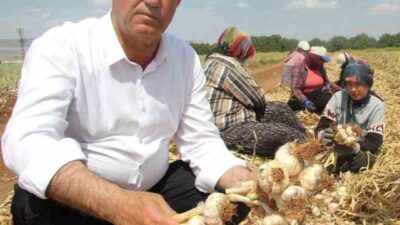 Gaziantep Tarım ve Orman İl Müdürü İbrahim Sağlam, Ziraat Odası