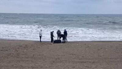 Sakarya’nın Karasu ilçesinde sahile vuran şüpheli çanta içerisinde 21,5 kilogram