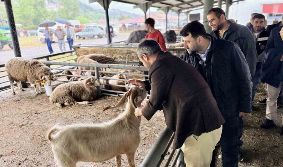 AK Parti Genel Sekreter Yardımcısı ve Karabük Milletvekili Cem Şahin