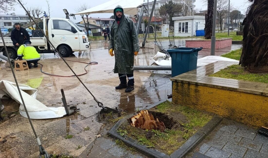 Sakarya genelinde 2 gündür etkili olan yağış ve şiddetli rüzgar,