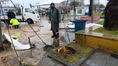 Sakarya genelinde 2 gündür etkili olan yağış ve şiddetli rüzgar,