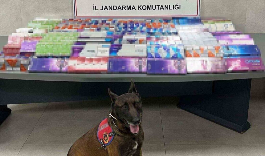 Sakarya’da jandarma ekiplerince kaçakçılık suçlarıyla mücadele kapsamında 3 ilçede düzenlenen