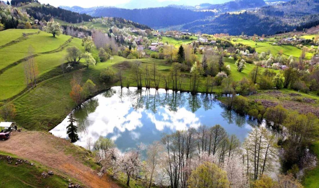 Artvin’in “Sakin Şehir” unvanlı Şavşat ilçesinde bulunan Balık Gölü, ilkbaharla