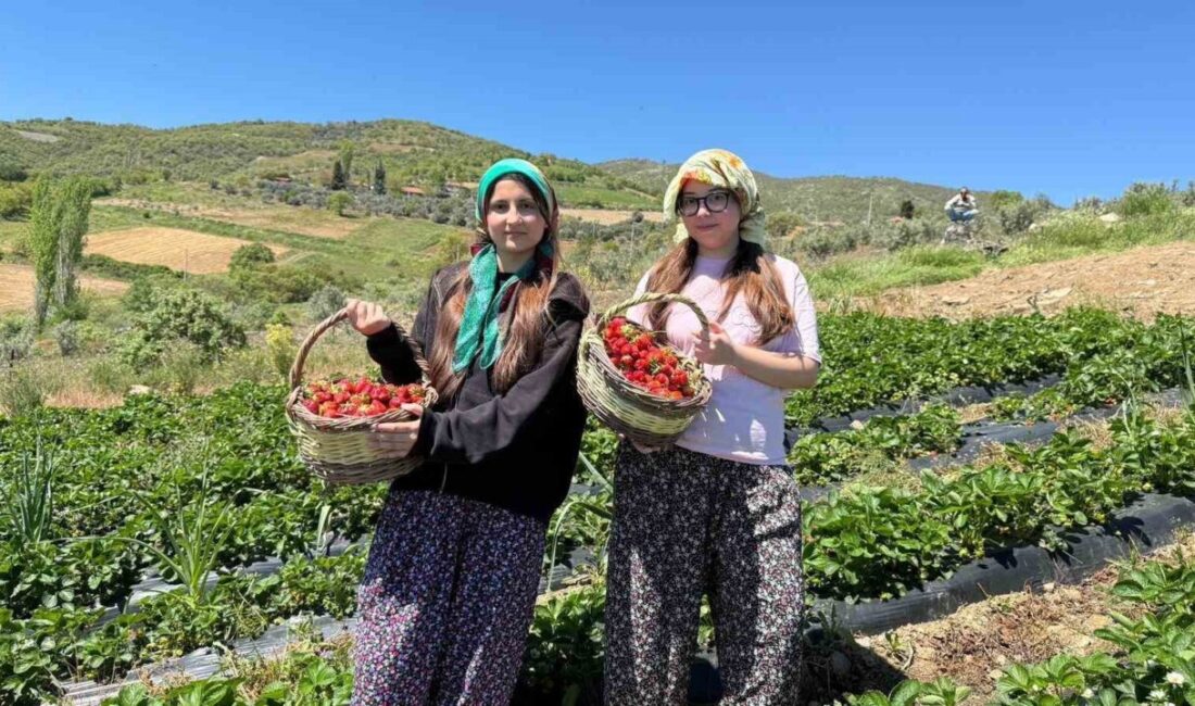 Gençlik ve Spor Bakanlığı’nın “Bizimle Üretime Katıl, Geleceğe İz Bırak”