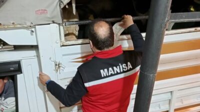 Manisa’nın Salihli ilçesindeki Tarım ve Orman Müdürlüğü ekipleri, yaklaşan Kurban