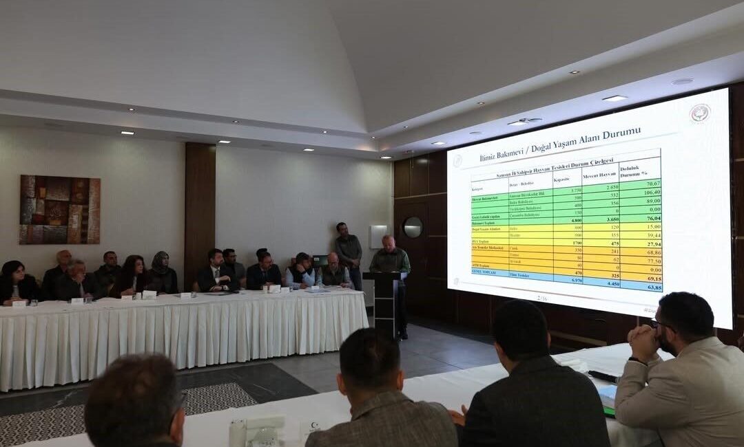 Samsun İl Hayvanları Koruma Kurulu Toplantısı’nda paylaşılan verilere göre Samsun’un