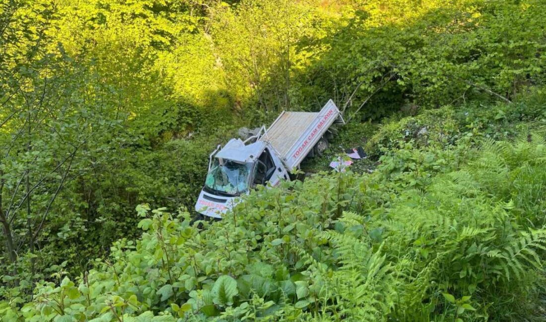 Samsun’un Terme ilçesinde kereste yüklü kamyonetin yaklaşık 200 metrelik uçurumdan
