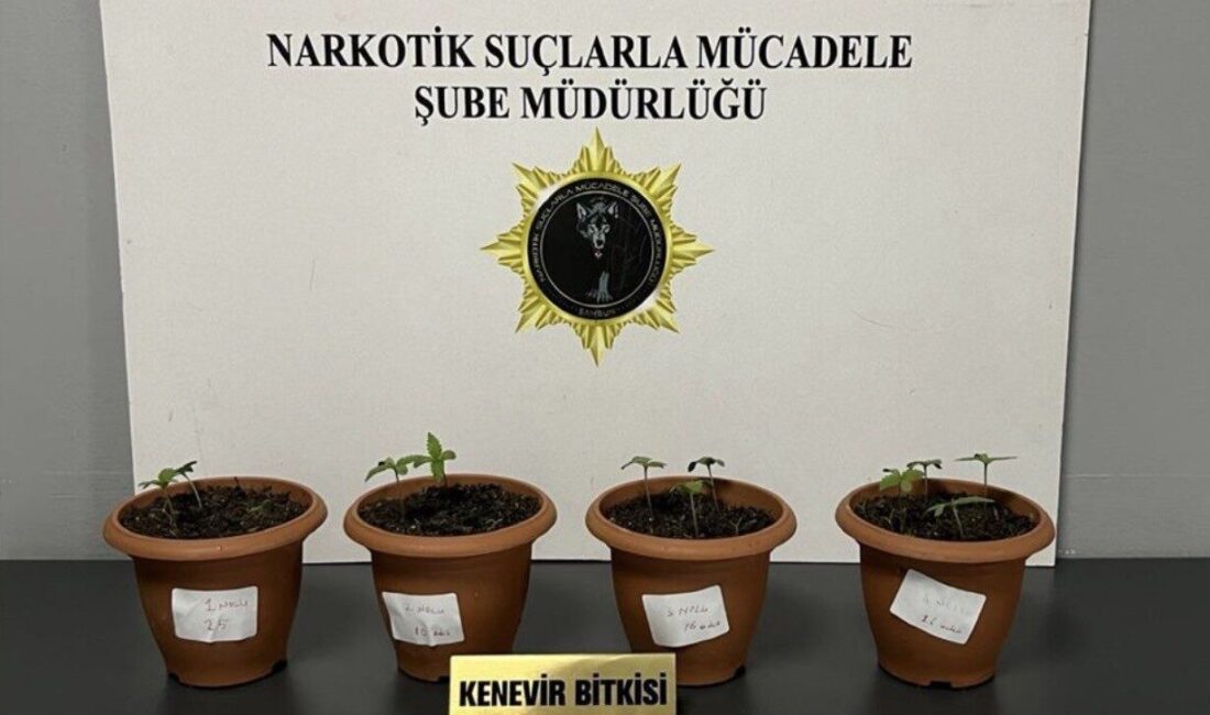 Samsun’da 3 ilçede düzenlenen uyuşturucu operasyonunda 4 şüpheli gözaltına alındı.