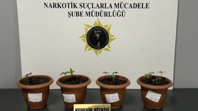 Samsun’da 3 ilçede düzenlenen uyuşturucu operasyonunda 4 şüpheli gözaltına alındı.