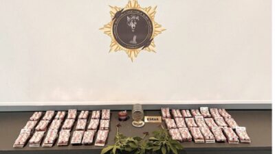 Samsun’da düzenlenen operasyonlarda uyuşturucu madde, kenevir bitkisi ve ruhsatsız silah