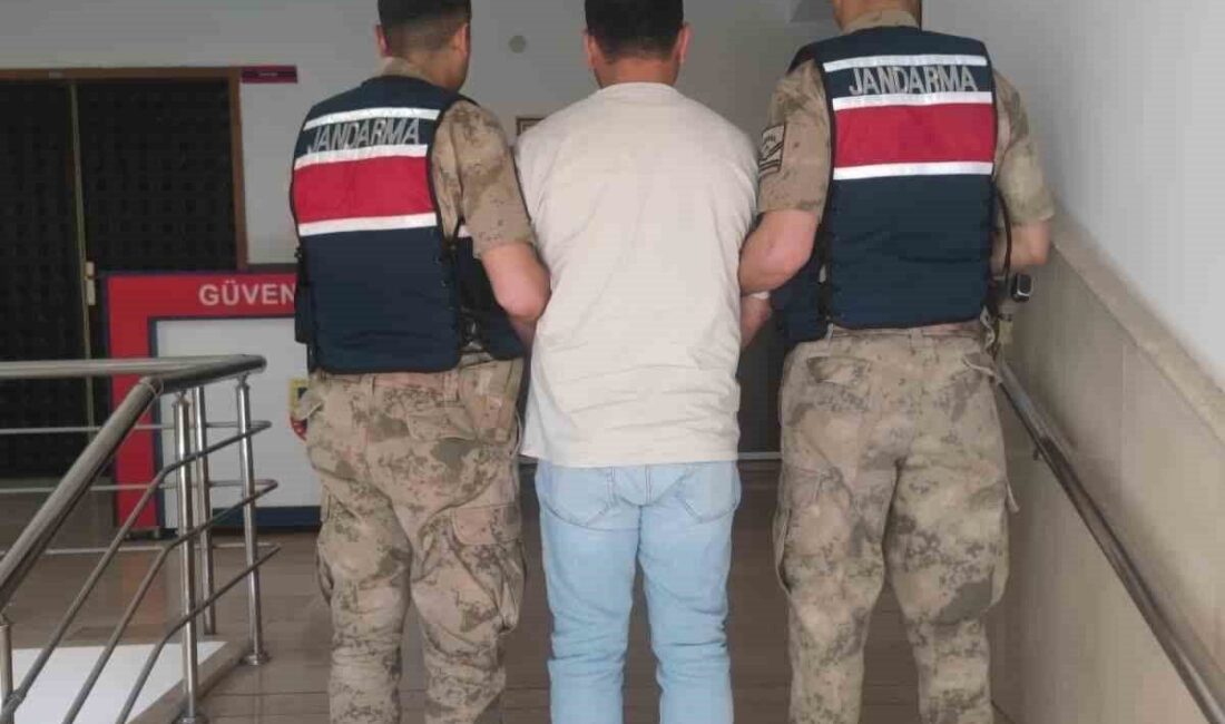 Şanlıurfa’nın Karaköprü ilçesinde jandarma tarafından gerçekleştirilen operasyonda uyuşturucu madde ticareti