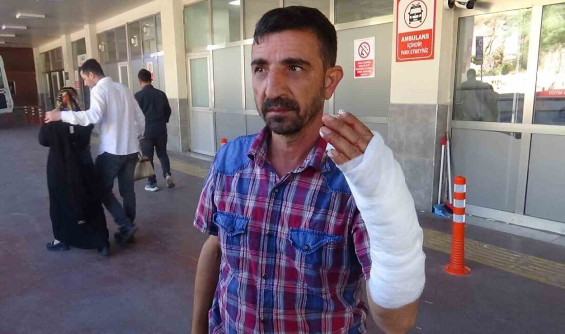 Şanlıurfa’da Kurban Bayramı’nın ilk gününde kurban keserken yaralanan 232 kişi