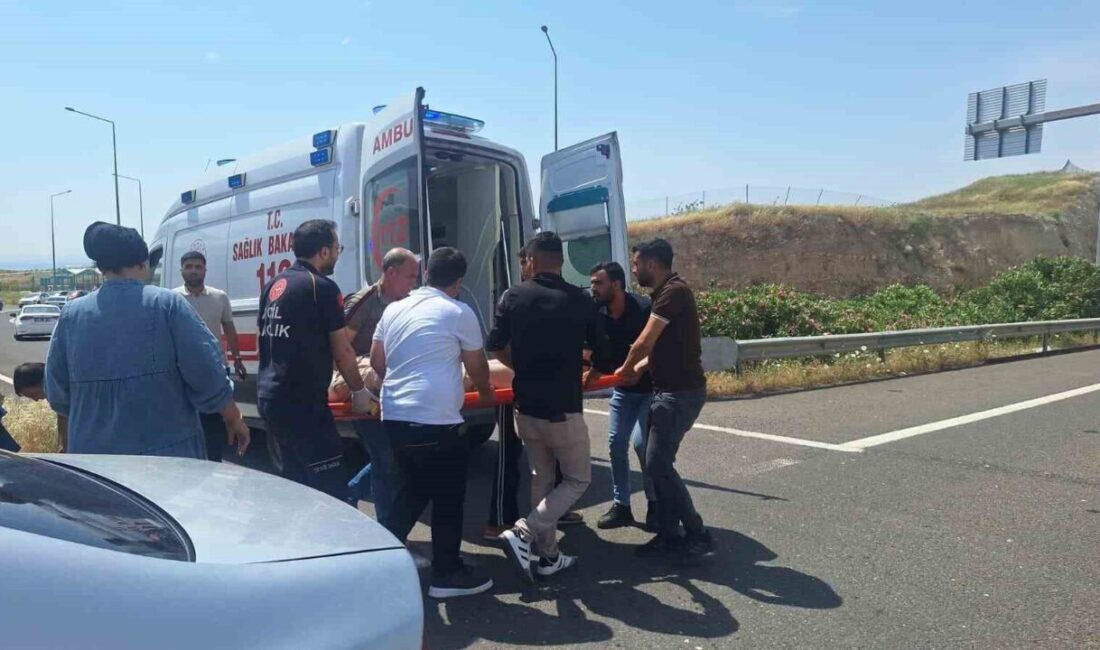Şanlıurfa’nın Birecik ilçesinde iki otomobilin çarpışması sonucu meydana gelen kazada