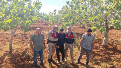 Şanlıurfa’da kayıp olarak aranan çocuk, jandarma ekiplerince fıstık bahçesinde bulundu.