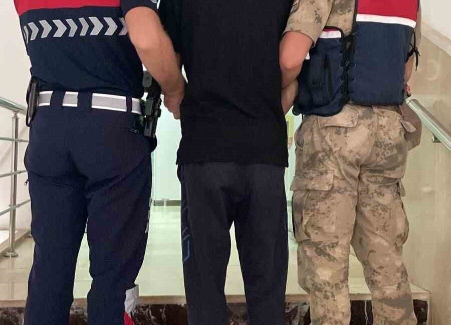 Şanlıurfa’da haklarında kesinleşmiş hapis cezası bulunan 2 hükümlü jandarma ekiplerince