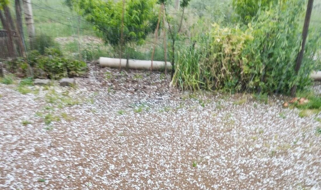 Manisa’nın Sarıgöl ilçesinde öğleden sonra aniden bastıran dolu yağışı bazı