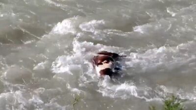 Batman’da Sason çay kenarındaki bazı köylerde telef olan hayvanların suya