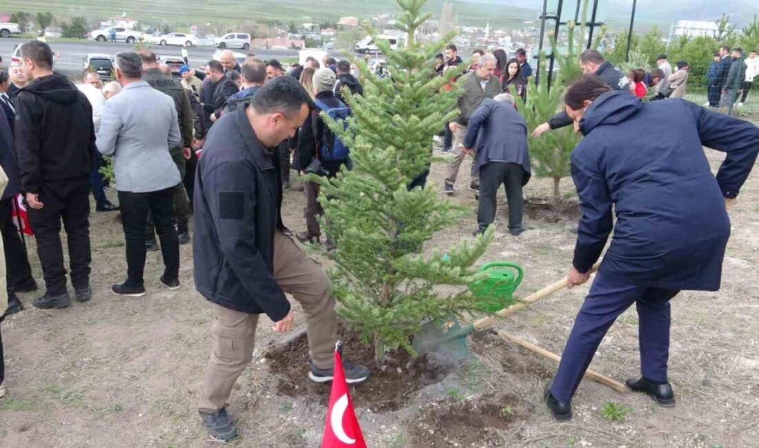 Ardahan’da şehit ve gazilerin anısına oluşturulan “Şehit ve Gazi Ormanı”
