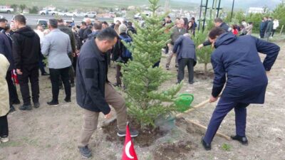 Ardahan’da şehit ve gazilerin anısına oluşturulan “Şehit ve Gazi Ormanı”