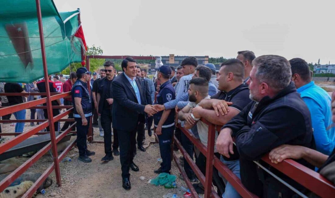 Şehitkamil Belediyesi, Kurban Bayramı öncesinde ilçe genelindeki hazırlıklarını tamamladı. Kurban