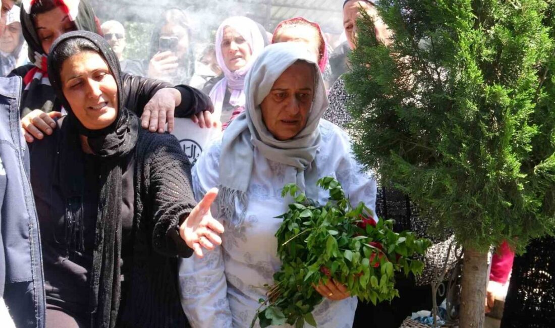Hatay’da AFAD ve itfaiye ekipleri tarafından yürütülen çalışmalarda Asi Nehri