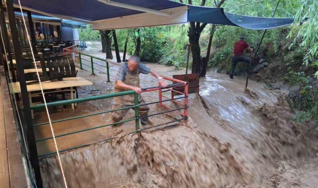 Erzincan’da etkili olan sağanak yağış, turizm beldesi Çağlayan’da sele neden