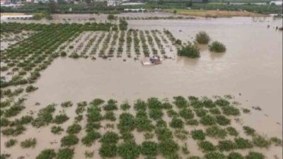 Hatay’da aşırı yağışlar sonrası yaşanan sel sularına kapılarak hayatını kaybeden