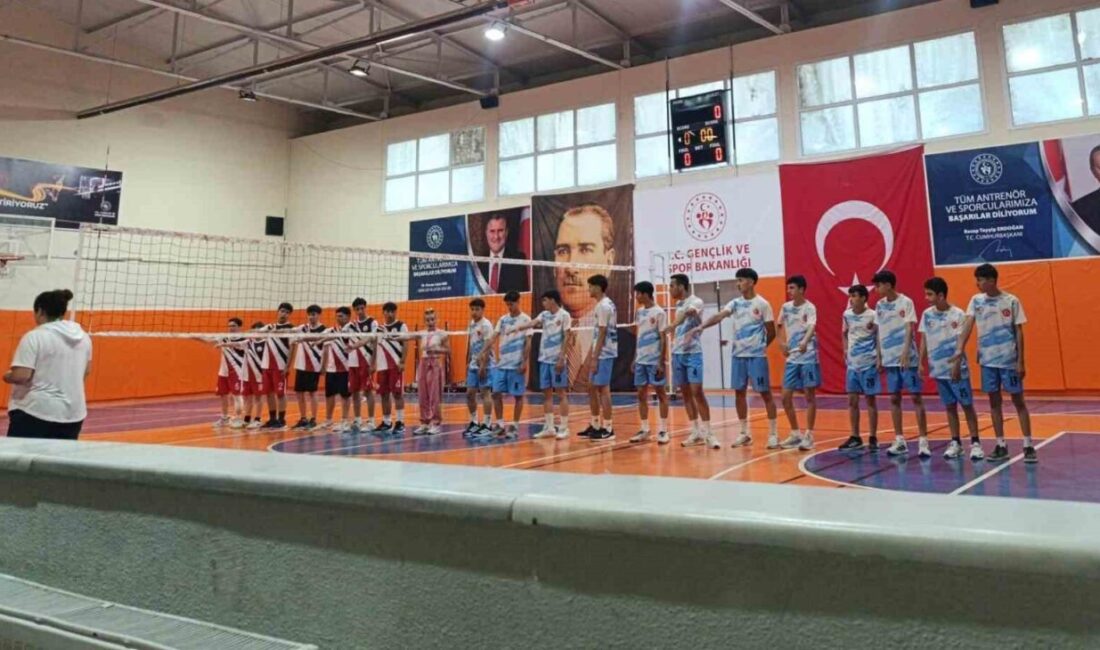 Manisa’nın Selendi ilçesinde Gençlik Haftası etkinlikleri kapsamında düzenlenen liseler arası