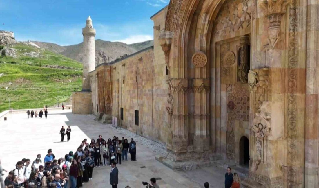 Sivas Cumhuriyet Üniversitesi Tıp Fakültesi öğrencileri, Divriği Ulu Camii ve