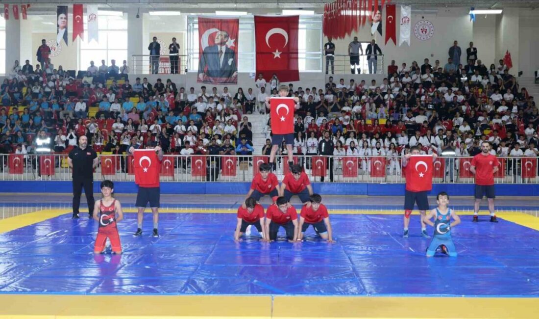 Siirt’te 19 Mayıs Atatürk’ü Anma, Gençlik ve Spor Bayramı kutlandı.