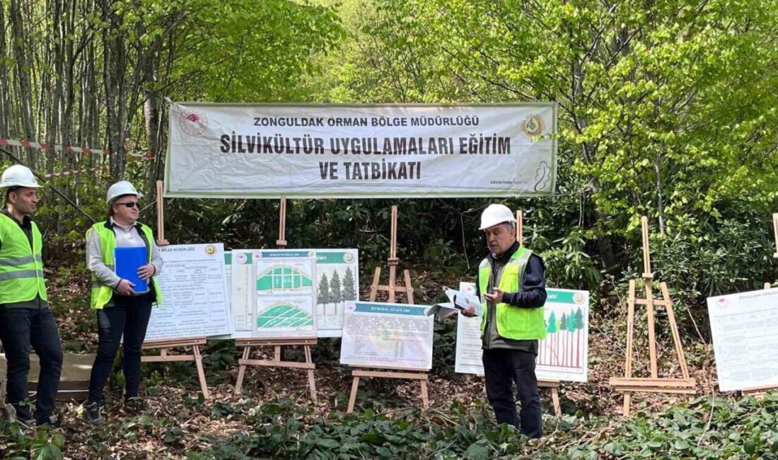 Zonguldak Orman Bölge Müdürlüğü tarafından tüm işletme müdürlüklerinde düzenlenen “Silvikültür