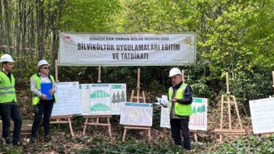 Zonguldak Orman Bölge Müdürlüğü tarafından tüm işletme müdürlüklerinde düzenlenen “Silvikültür