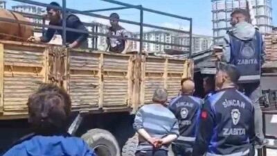 Sincan Belediyesi’nce ilçe genelinde yürütülen denetimlerde ruhsatsız ahırlar hayvan satışından