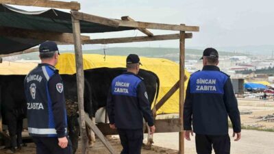 Sincan Belediyesi, Yenikent ve Çimşit kurban pazarlarında denetimlerine hız kesmeden